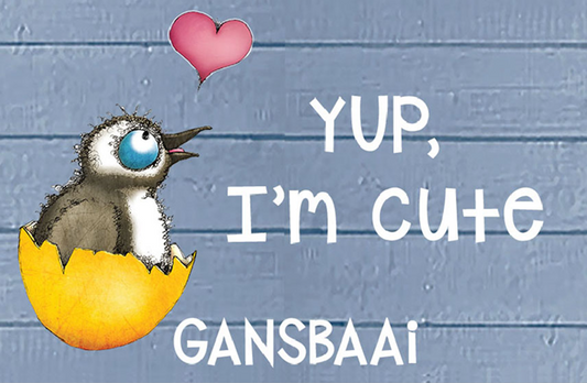 Product showcase image from staged upload