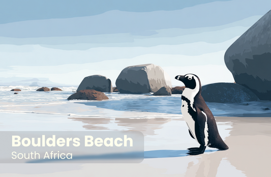 Boulders Beach Magnet 3