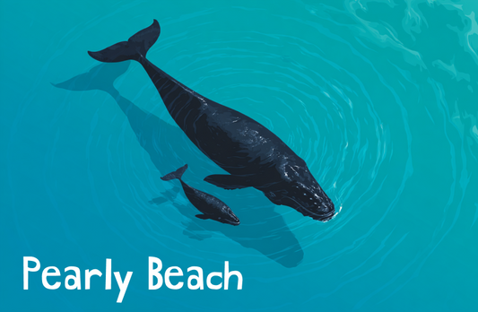 Pearly Beach Magnet 39