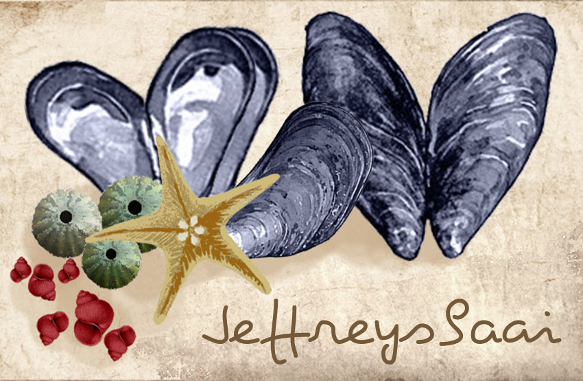 Jeffreysbaai Magnet 53