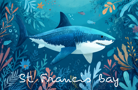 Product showcase image from staged upload