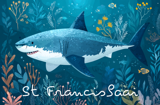 Product showcase image from staged upload