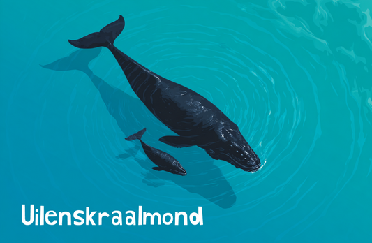 Uilenskraalmond Magnet 40