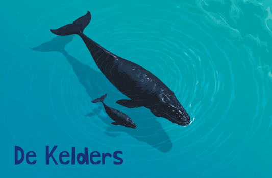 De Kelders Magnet 40