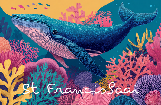 Product showcase image from staged upload