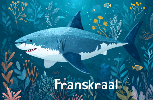 Franskraal Magnet 43