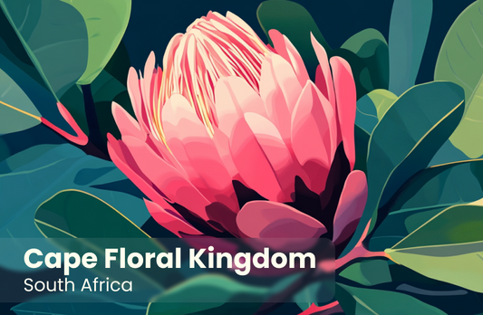 Cape Floral Kingdom Magnet 4
