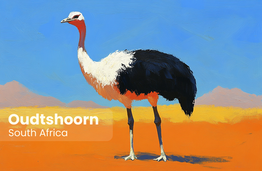 Oudtshoorn Magnet 24