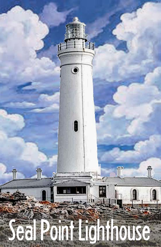 Product showcase image from staged upload