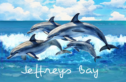 Jeffreys Bay Magnet 62