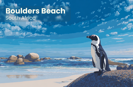 Boulders Beach Magnet 5