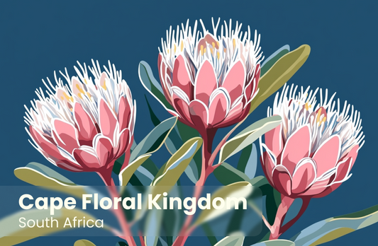Cape Floral Kingdom Magnet 5