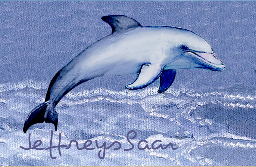 Jeffreysbaai Magnet 59