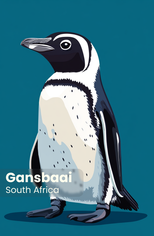 African Penguin Seabird Sanctuary Magnet 35