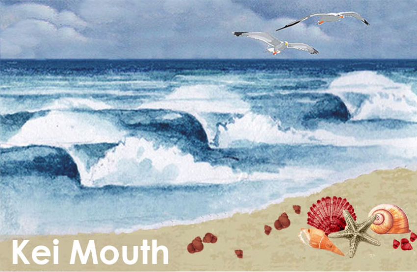The Oystercatcher Magnet 39