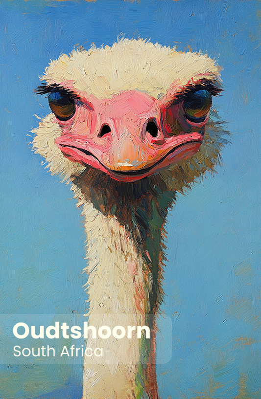 Oudtshoorn Magnet 25