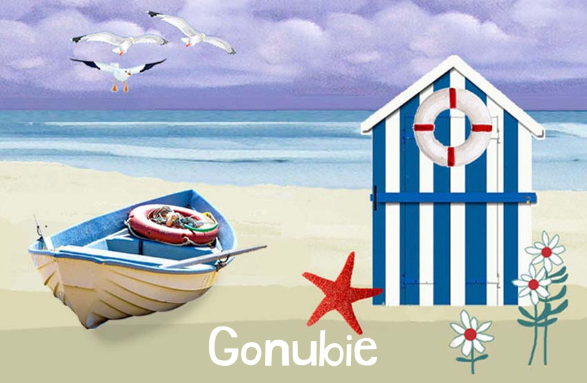 Gonubie Magnet 44