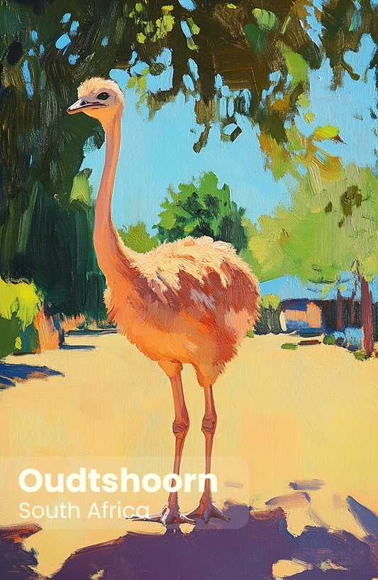 Oudtshoorn Magnet 26