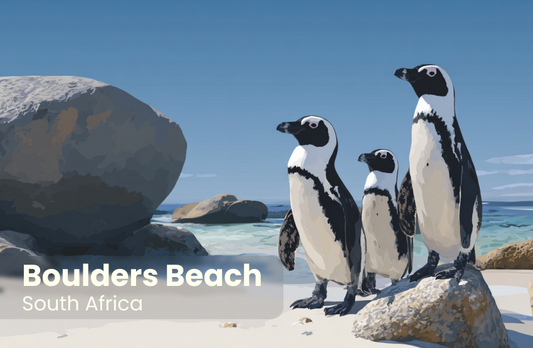 Boulders Beach Magnet 6