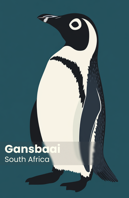 African Penguin Seabird Sanctuary Magnet 36