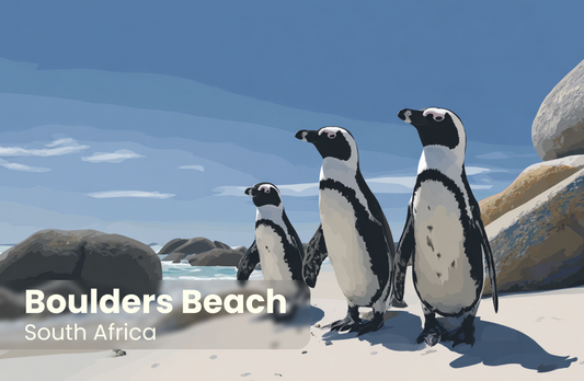 Boulders Beach Magnet 7