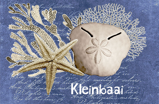 Kleinbaai Magnet 48