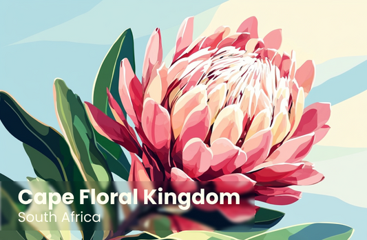 Cape Floral Kingdom Magnet 7