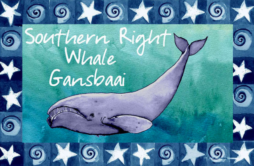 Great White House Magnet 49