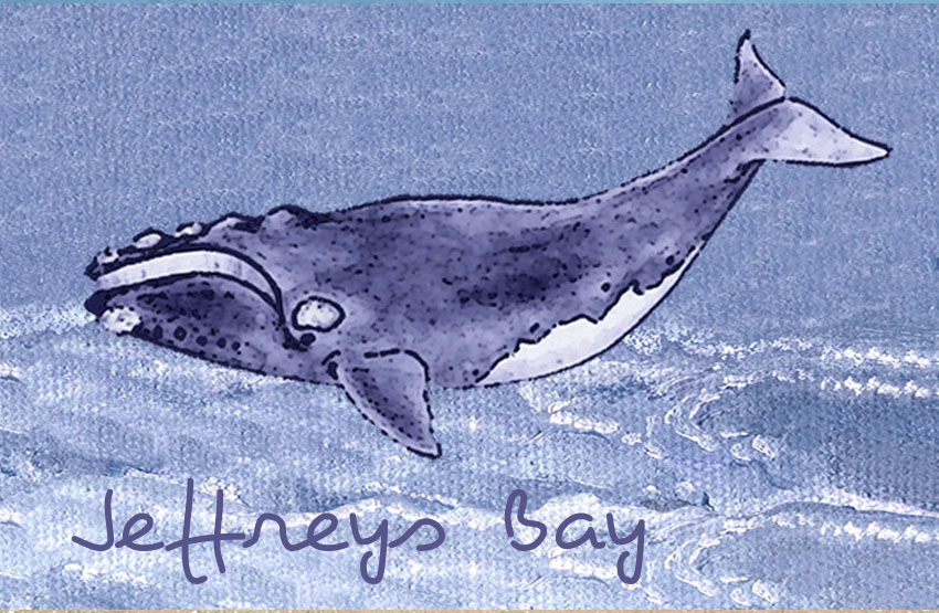 Jeffreys Bay Magnet 72