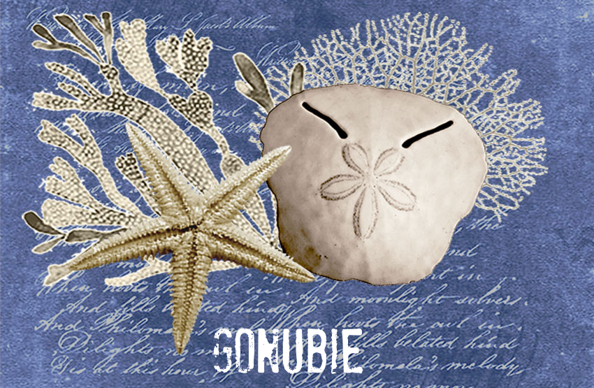 Gonubie Magnet 45