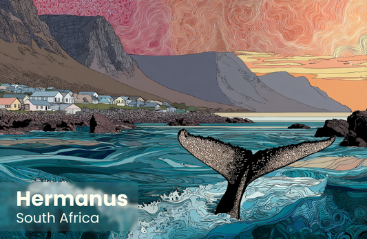 Hermanus Magnet 13