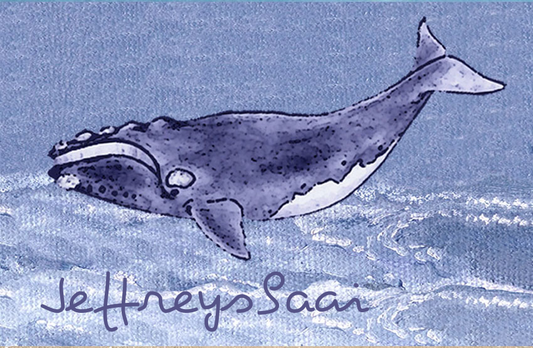 Jeffreysbaai Magnet 71