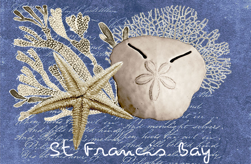 Product showcase image from staged upload