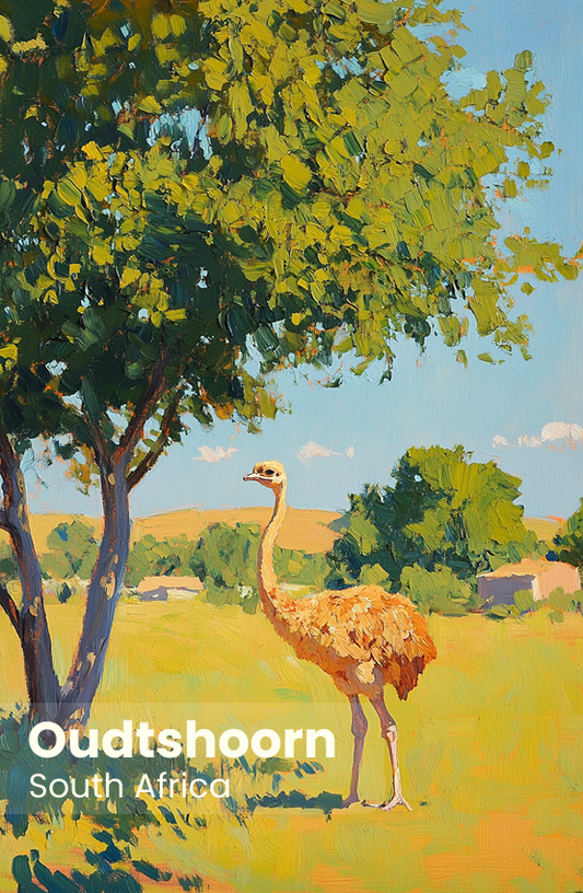 Oudtshoorn Magnet 27