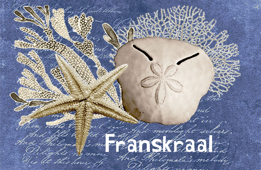 Franskraal Magnet 48