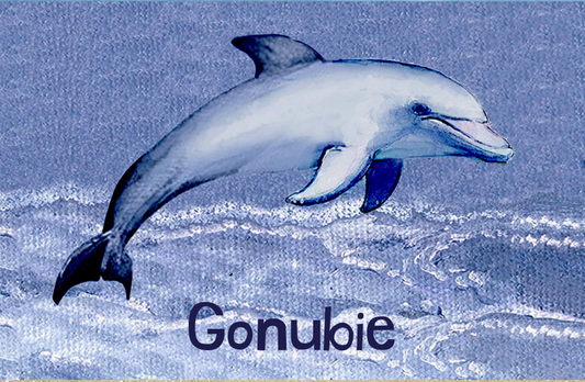 Gonubie Magnet 46