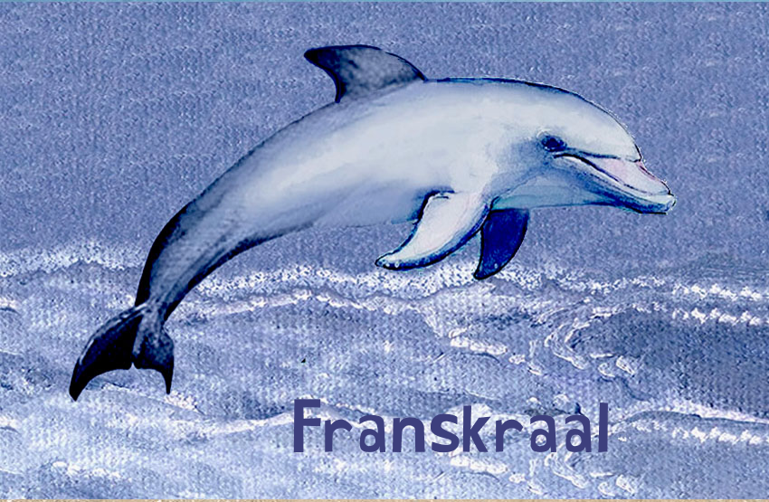Franskraal Magnet 49