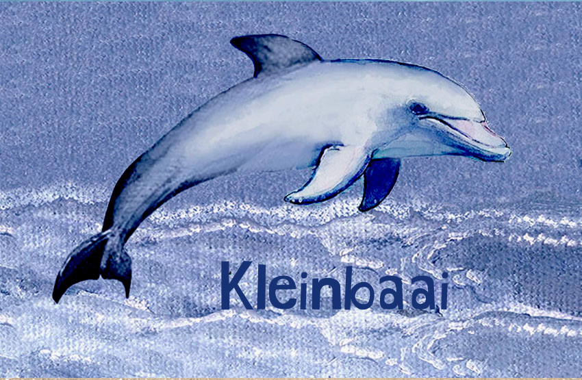 Kleinbaai Magnet 49