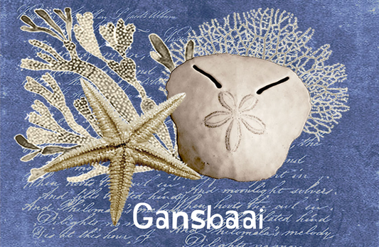 Gansbaai Magnet 51
