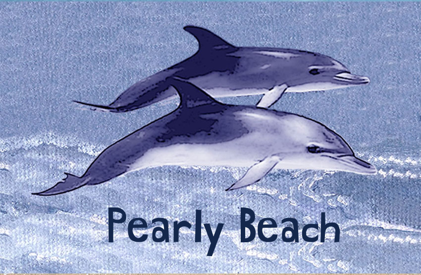 Pearly Beach Magnet 49