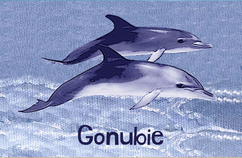 Gonubie Magnet 47