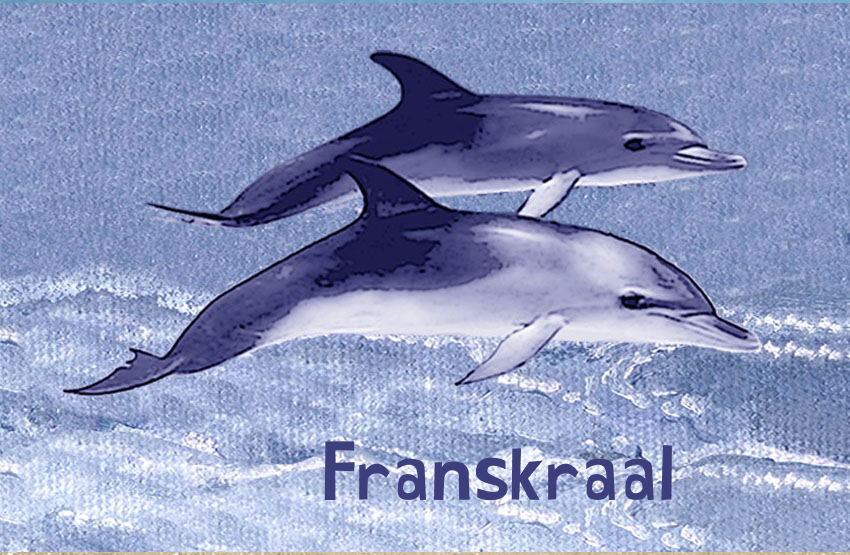 Franskraal Magnet 50