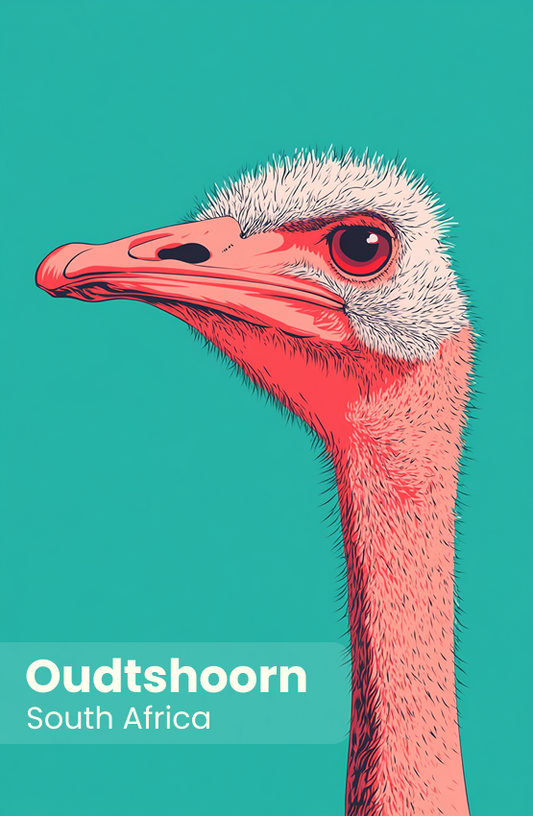 Oudtshoorn Magnet 29