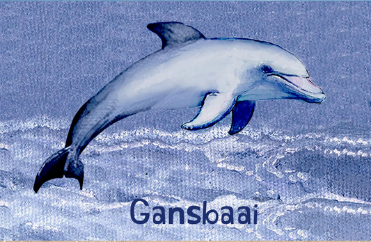 Gansbaai Magnet 52