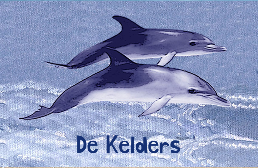 De Kelders Magnet 50
