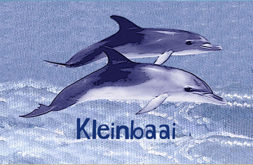 Kleinbaai Magnet 50