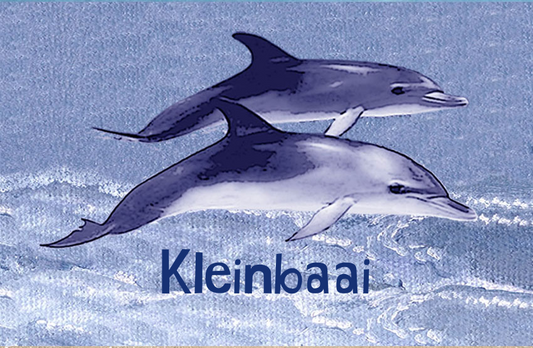 Kleinbaai Magnet 50