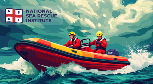 Nsri Keyring 7
