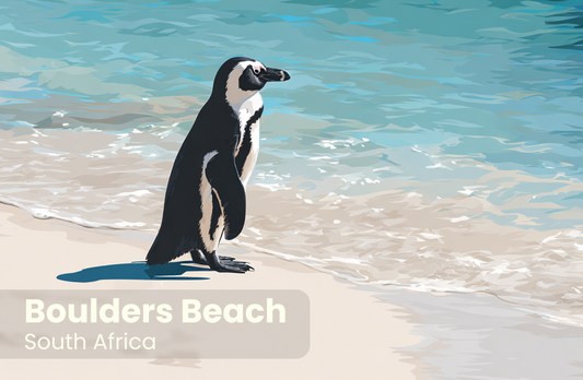 Boulders Beach Magnet 8