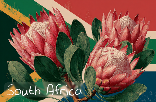 General South Africa Magnet 13